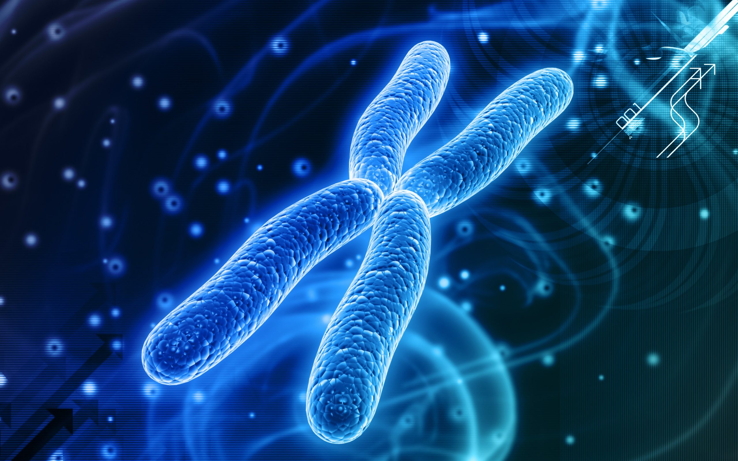 nucleosome-model-of-chromosomes-plantlet