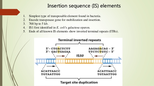 transposable elements are dna sequences that