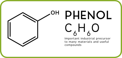 Phenols Characteristics Classification And Uses Plantlet