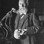 Picture of Ernst Haeckel
