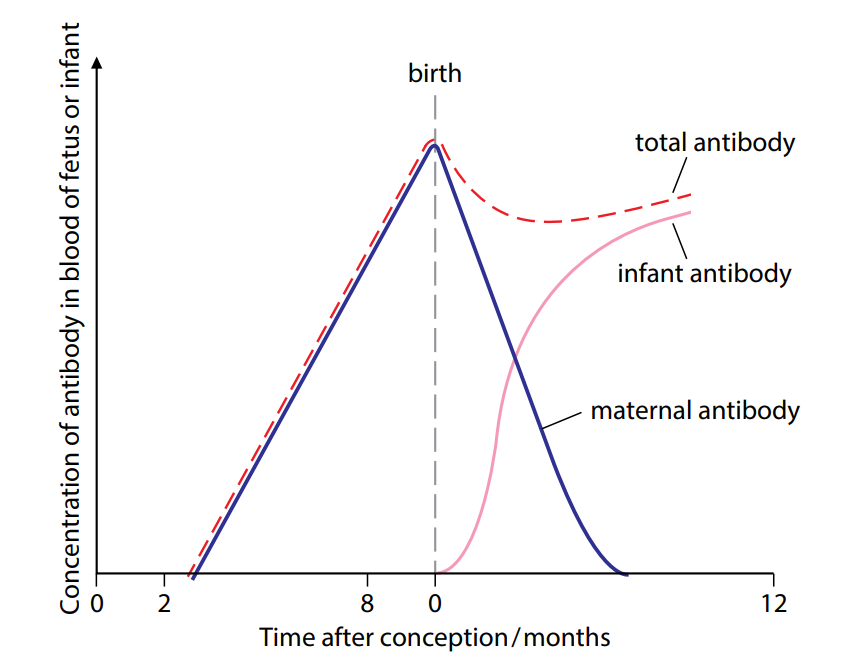 Artificial Passive Immunity Graph Neil Cornish