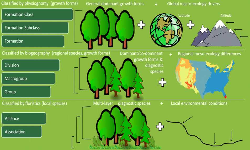 Methods Of Vegetation Quantitative Plantlet