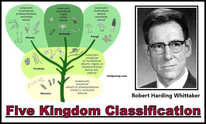 Diversity in Living Organisms: Five Kingdom Classification : Plantlet
