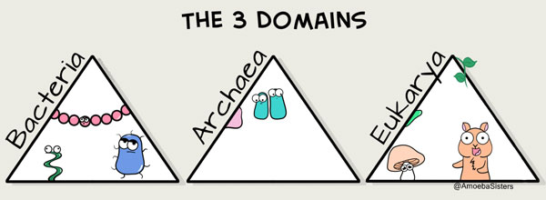 biological domains