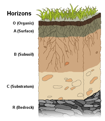 soil profile horizons