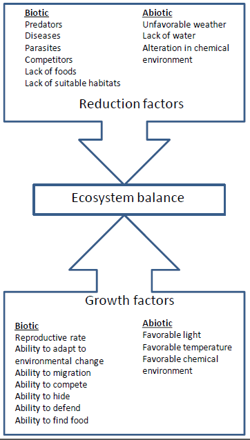 egyen-rt-k-elvet-se-j-zan-sz-balance-in-an-ecosystem-gy-rt-barik-d