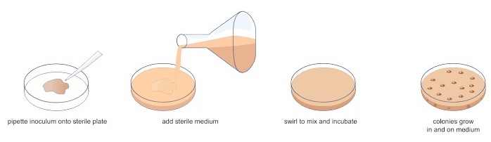 general-methods-of-microbial-isolation-plantlet
