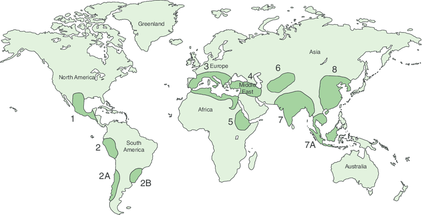 concepts-of-center-of-origin-of-cultivated-crops-part-1-plantlet