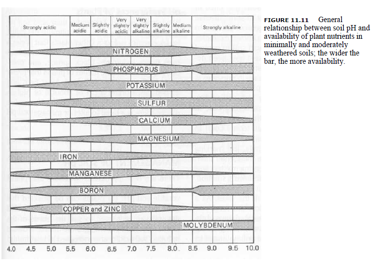 soil pH and availability of nutrients 