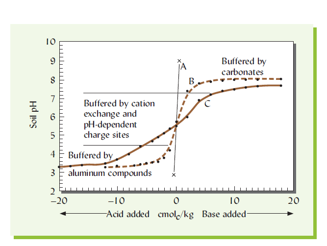 buffer capacity