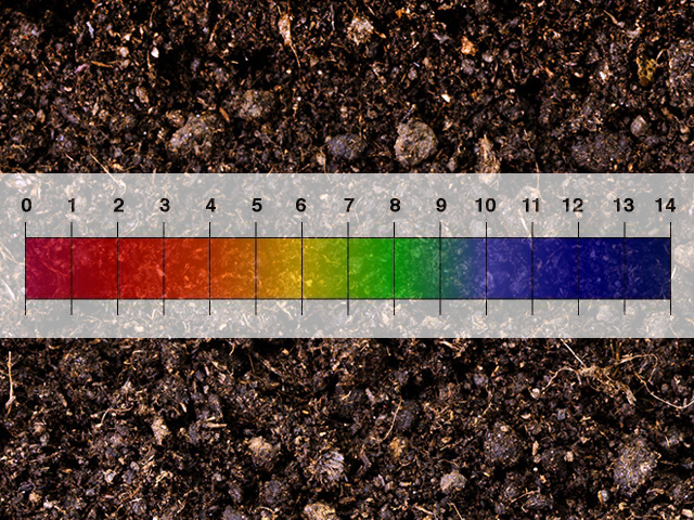 Tầm quan trọng của việc đo độ pH đất