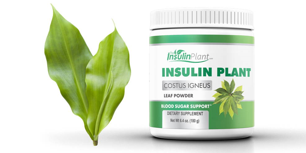 Insulin plant medicine bottle.