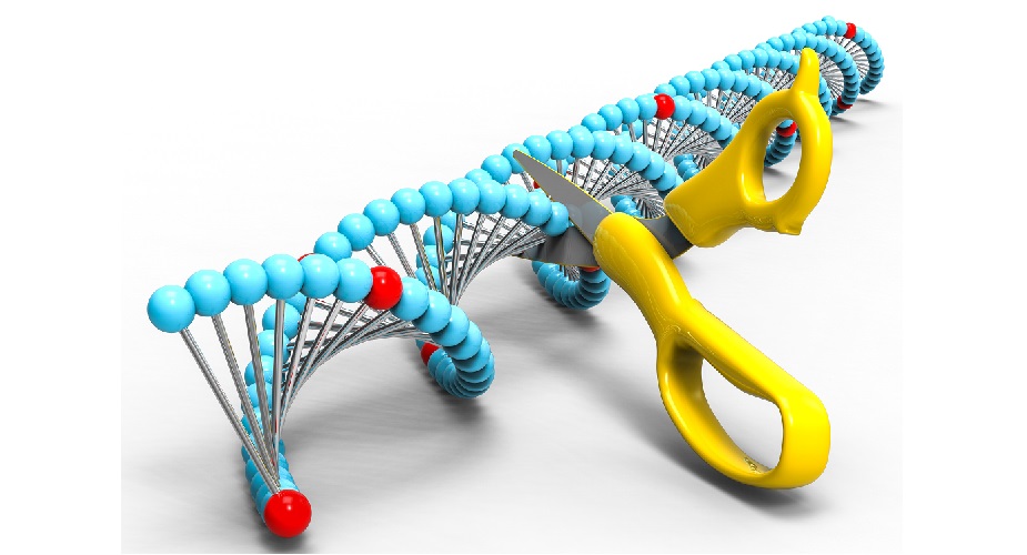 restriction-enzymes-an-introduction-to-biological-knives-plantlet