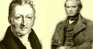 Malthus & Darwin