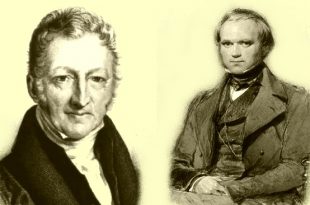 Malthus & Darwin
