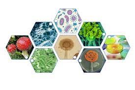 Scopes of Microbiology